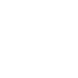 Page Logo